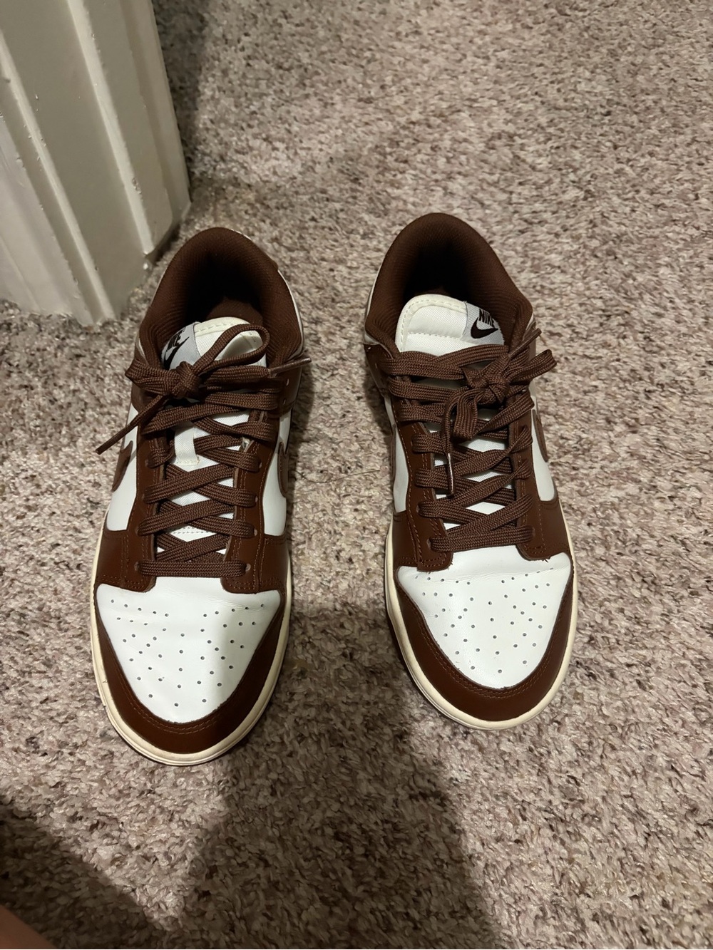 Nike Chocolate Brown Dunk Sneakers